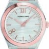 Salvatore Ferragamo Vega Collection Luxury Mens Watch Timepiece