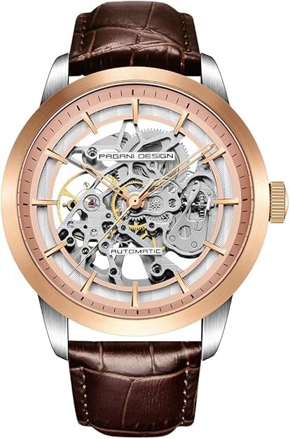 Pagani Design Classic Fashion Men's Skeleton Automatic Mechanical Watch Leather Strap Stainless Steel Self-Winding Waterproof Business Analogue Sports Wristwatch