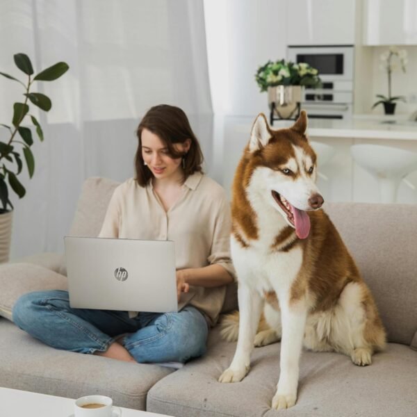 HP 2025 Pavilion 15.6" FHD Touchscreen Laptop Computer, 10-Core Intel i5-1334U, 32GB RAM, 1TB Storage (512GB SSD + 512GB External), Wi-Fi 6, Long Battery Life, Windows 11 with Microsoft Office