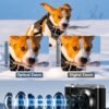 5K Digital Camera, 56MP Cameras for Photography with 10X Optical Zoom, Autofocus Vlogging Camera with 2.8" IPS Touch Screen, Compact Travel Cameras for Teens Adult Beginner, 64GB Card & 2 Batteries