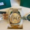 product-img-6863665f1ca3ce22f77a60e0 Rolex Sky-Dweller Champagne Dial Automatic Men Watch 42Mm