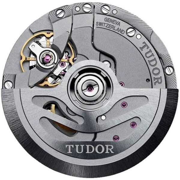 Tudor Pelagos Lhd Men'S Watch